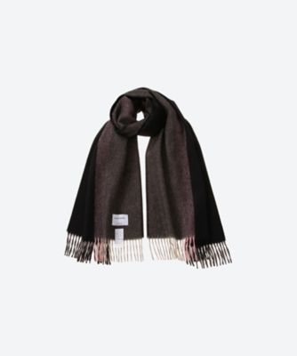 Brushed Scole Stripe | THE INOUE BROTHERS/ザ