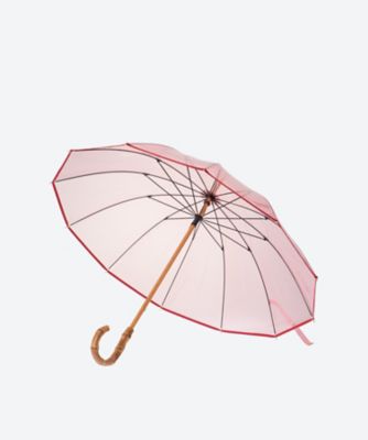 ＣＬＥＡＲ　ＵＭＢＲＥＬＬＡ　ＢＡＭＢＯＯ　Ａ２５１ＳＬＧＧＯ０１７４