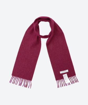 ＜THE INOUE BROTHERS...＞Ｔｗｏ　Ｃｏｌｏｕｒ　Ｂｒｕｓｈｅｄ　Ｎｅｃｋ　Ｓｃａｒｆ　ＴＩＢ―ＡＬＡＣ２０３５ＭＬ