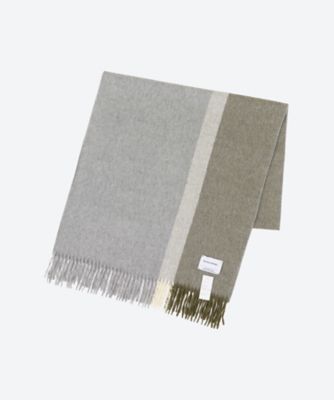 Brushed Scole Stripe TIB―ALAC2013ML