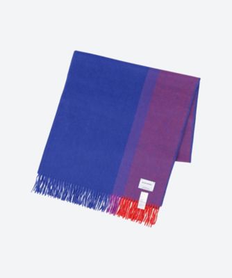 Brushed Scole Stripe TIB―ALAC2013ML