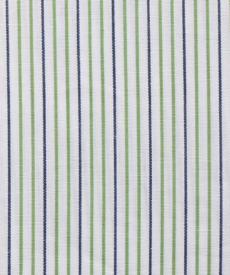 Ｓｔｅｍ　Ｓｔｒｉｐ
