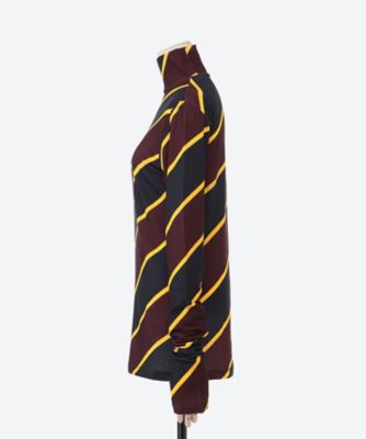 Ｒｅｇｉｍｅｎｔａｌ　Ｓｔｒｉｐｅｓ　Ｔｕｒｔｌｅ
