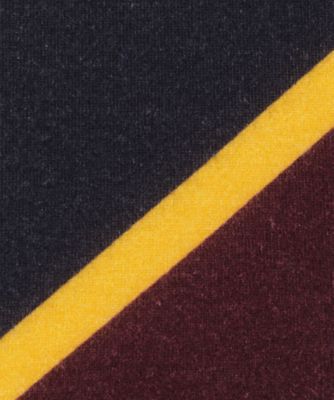 Ｒｅｇｉｍｅｎｔａｌ　Ｓｔｒｉｐｅｓ　Ｔｕｒｔｌｅ