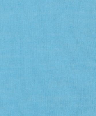 ＬＯＮＧ　ＳＬＥＥＶＥ　ＴＥＥ