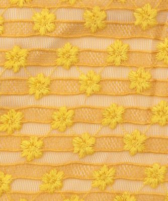 Ｍｉｎａ　Ｌａｃｅ