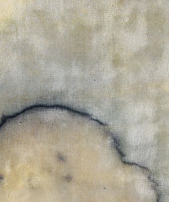 LEAF DYED VELVET JERSEY PANTS | TEAK