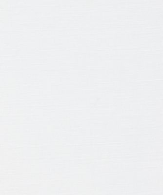 ＢＡＣＫ　ＬＯＧＯ　ＤＥＴＡＩＬ　ＳＨＥＥＲ　Ｔ－ＳＨＩＲＴ