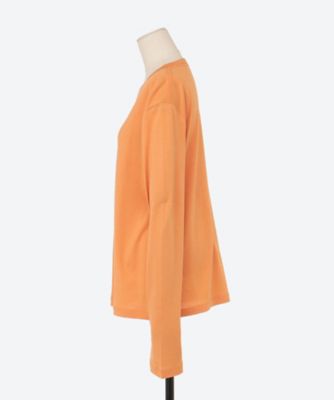 Ｃｅｌｌｕｌｏｓｅ　ｃｏｔｔｏｎ　ＬＳ　ＰＯ　Ｈ２３２５２５