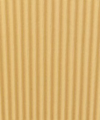 HIGH NECK TINY TOP TDX5―TN02