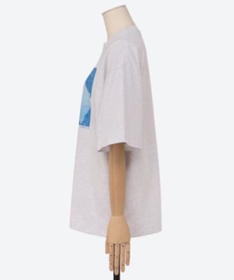 Ｐａｌｍ　Ｓ／Ｓ　ＰＳ２５―ＣＳ２１