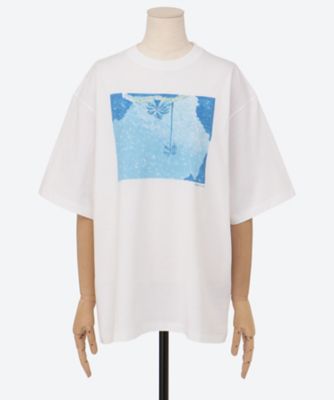 Ｐａｌｍ　Ｓ／Ｓ　ＰＳ２５―ＣＳ２１