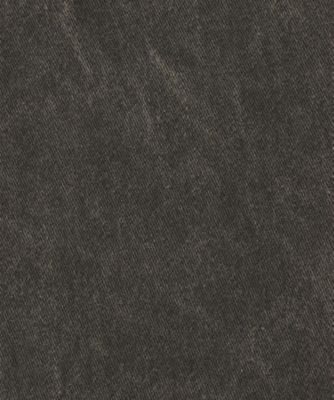 ＤＹＥＤ　ＳＡＴＩＮ　ＬＳ　ＳＨＩＲＴ　１０２１０７０２―１