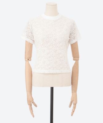 Ｔｉｎｙ　Ｔｅｅ