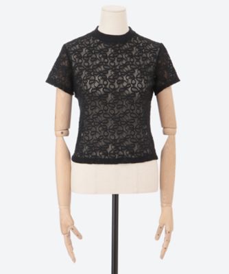 Ｔｉｎｙ　Ｔｅｅ