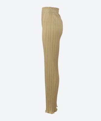 Ｐｌｅａｔｅｄ　Ｓｔｒａｉｇｈｔ　Ｌｅｇ　Ｔｒｏｕｓｅｒｓ　１５２－３１９２ａ