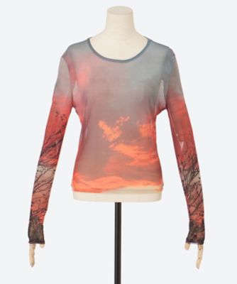 ＜ESTHE（Woman）＞Ｍｅｓｈ　Ｌｏｎｇ　Ｓｌｅｅｖｅ　Ｔｏｐ　２５２－３０３９