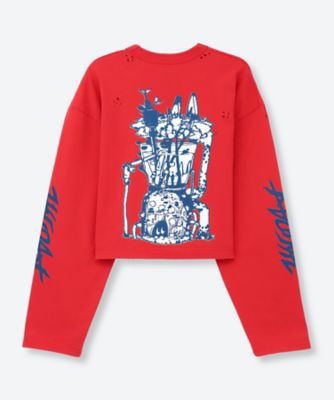 SUPER FINE DRY CROPPED DAMAGE L／S T