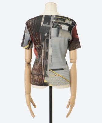 ＳＨＥＥＲ　ＧＲＡＰＨＩＣ　ＴＯＰ　ＴＤＸ６Ｓ―ＧＲ