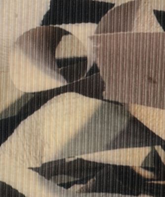 ＳＨＥＥＲ　ＧＲＡＰＨＩＣ　ＴＩＮＹ　ＴＯＰ　ＴＤＸ６Ｓ―ＧＲ―ＴＮＹ