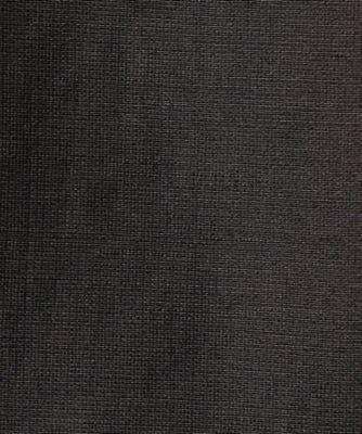 Ｖｉｏｌｅｔ　Ｂｏｗ　Ｏｒｇａｎｚａ