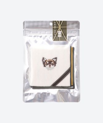 ＩＮＵ　チワワ