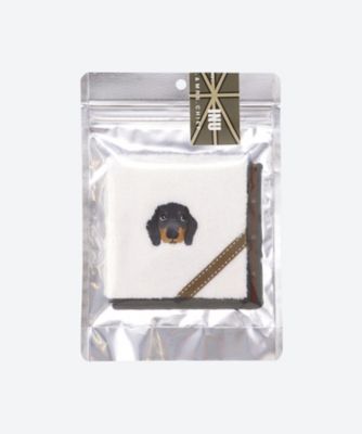 ＩＮＵ　ミニチュアダックスフンド