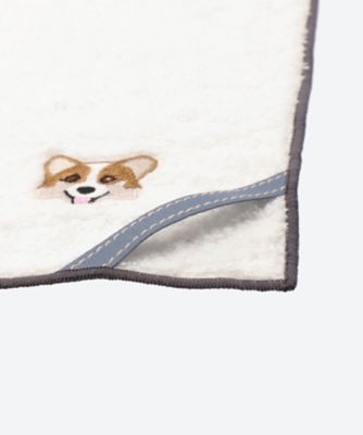 ＩＮＵ　コーギー