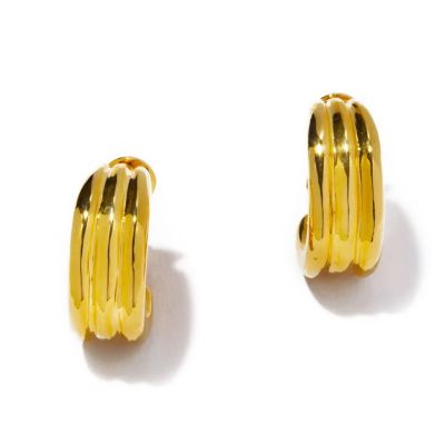 ｖｉｆ　ｅａｒｒｉｎｇ