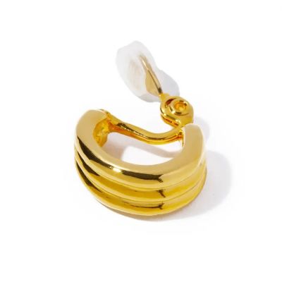 ｖｉｆ　ｅａｒｒｉｎｇ