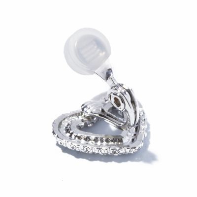 ｓｐｉｒｉｔ　ｅａｒｒｉｎｇ