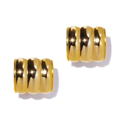 ｒｉｂ　ｅａｒｒｉｎｇ