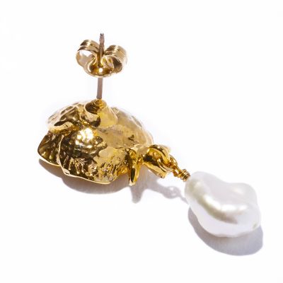 ｂａｒａ　ｐｉｅｒｃｅ