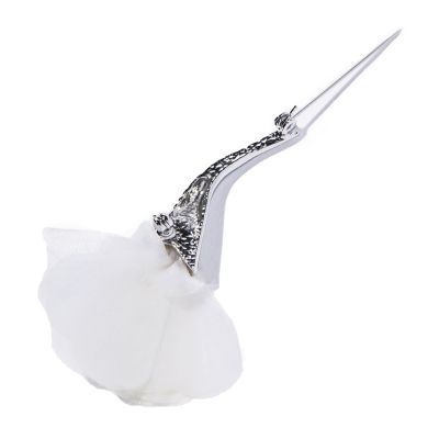 ｂａｒａ　ｂｒｏａｃｈ