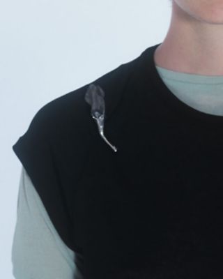 ｂａｒａ　ｂｒｏａｃｈ
