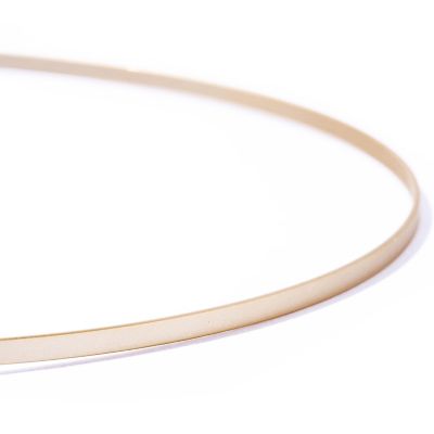 ｒａｙ　ｈｅａｄｂａｎｄ