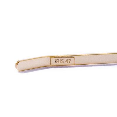 ｒａｙ　ｈｅａｄｂａｎｄ