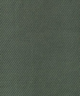 ドレス TRIACE VINTAGE TWILL | SACRA (Women