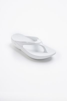 ＯＯｌａｌａ－Ｗｈｉｔｅ