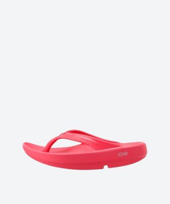 ＜OOFOS (Women)＞ＯＯｌａｌａ＿Ｎｅｏｎ　Ｂｅｒｒｙ　２００００７０１５６２５１