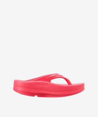 ＯＯｍｅｇａ＿Ｎｅｏｎ　Ｂｅｒｒｙ　２０００４４０１５６２５１