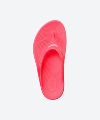 ＯＯｍｅｇａ＿Ｎｅｏｎ　Ｂｅｒｒｙ　２０００４４０１５６２５１