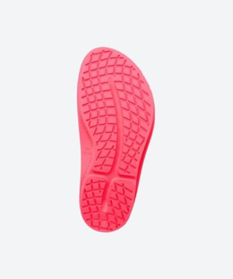 ＯＯｍｅｇａ＿Ｎｅｏｎ　Ｂｅｒｒｙ　２０００４４０１５６２５１