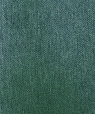 Ａｉｒｂｒｕｓｈｅｄ　ｄｅｎｉｍ　ｐａｎｔ