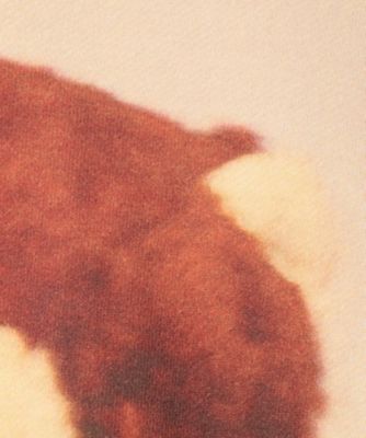 ｂｅａｒ　ｈｏｏｄｉｅ　ＬＳＢ―ＬＨＤ―００８Ｂ