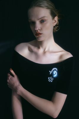ｐｈａｃｅｌｉａ　ｂｒｏｏｃｈ　ＢＯ１４１