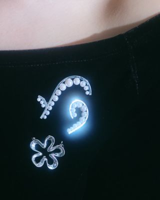 ｐｈａｃｅｌｉａ　ｂｒｏｏｃｈ　ＢＯ１４１