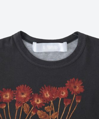 綿天竺プリント Fumi Imamura 半袖Tシャツ TQ―T001