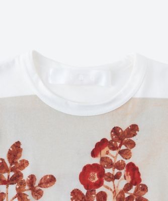 2024AW TAO 綿天竺花柄ジャガード×ウールミルド天竺カットソー 綿天竺プリント Fumi Imamura 半袖Tシャツ TQ―T002