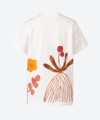 綿天竺プリント　Ｆｕｍｉ　Ｉｍａｍｕｒａ　半袖Ｔシャツ　ＴＱ―Ｔ００４―０５１